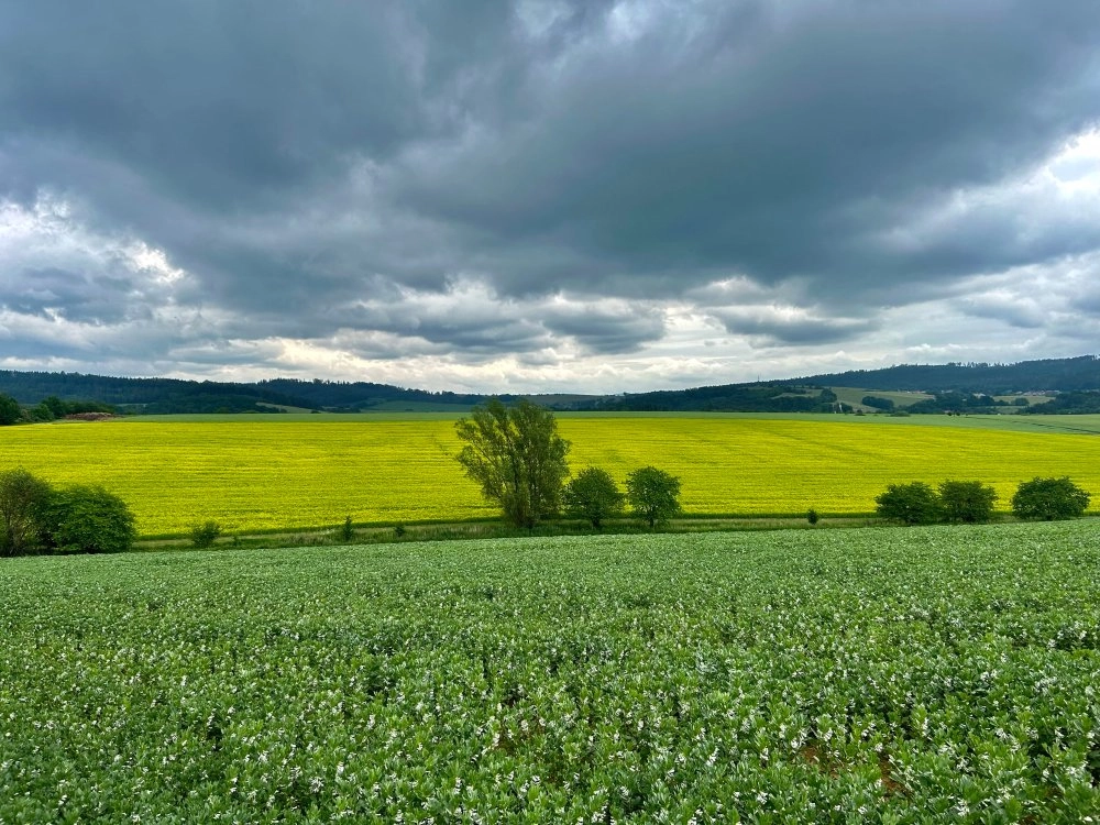 Aktuality - Vzorový článek